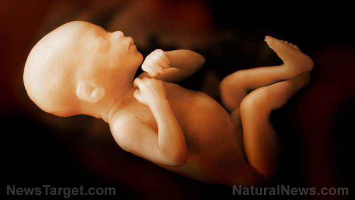unborn-baby-fetus-womb